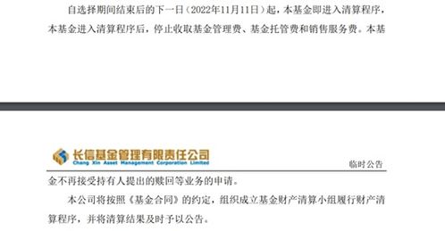 年內175只基金清盤離場 行業加速優勝劣汰，投資者如何應對？