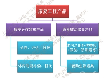 戴克戎 3D打印個(gè)性化康復(fù)輔具——假肢與矯形器的革新之路