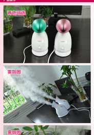 金稻納米離子熱噴蒸臉器 秋冬護膚的補水神器實測體驗