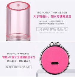 金稻KD77SR納米智能補水儀 科技與美肌的完美邂逅